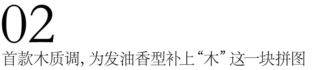 小标题.png