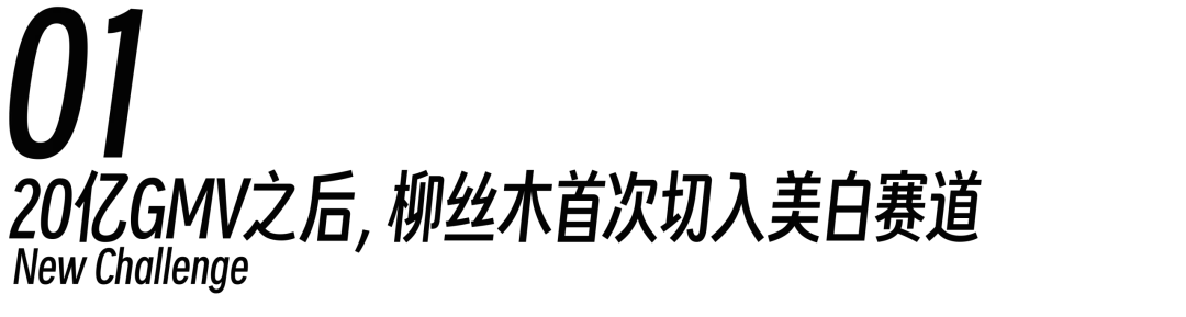 小标题.png